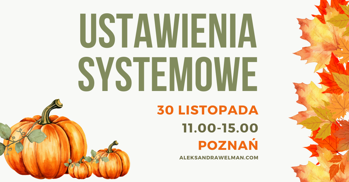 HELLINGEROWSKIE ustawienia systemowe w Poznaniu